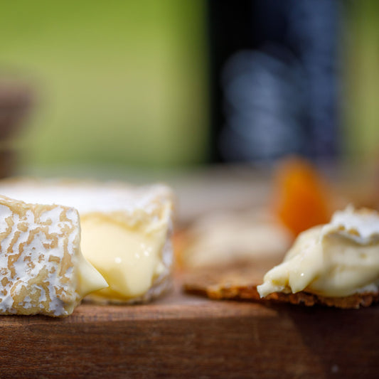 The Social Sanctuary Box