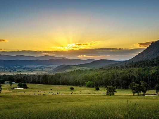 The Peaks Artisan Cheesemakers, Myrtleford, Victoria